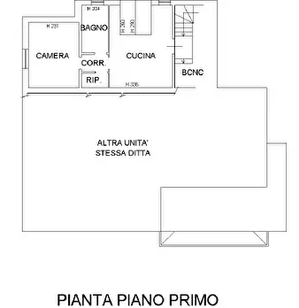 Foto annuncio 7