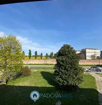 Foto annuncio 36