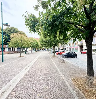 Foto annuncio 40