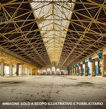 Foto annuncio 12