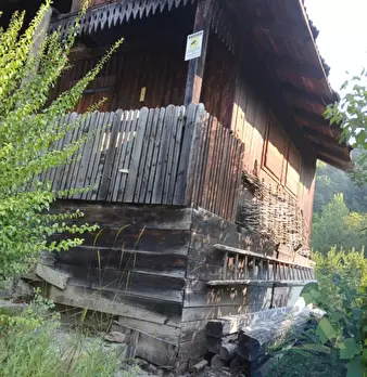 Foto annuncio 8