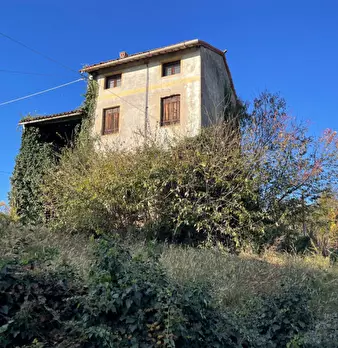 Foto annuncio 1