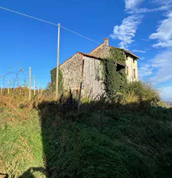Foto annuncio 3