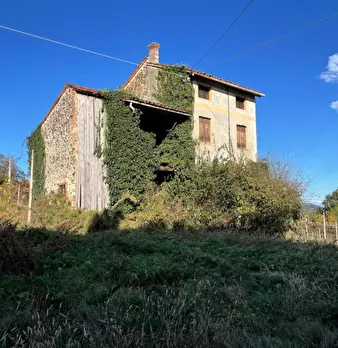 Foto annuncio 4