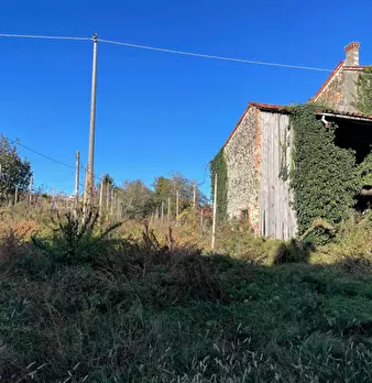 Foto annuncio 7