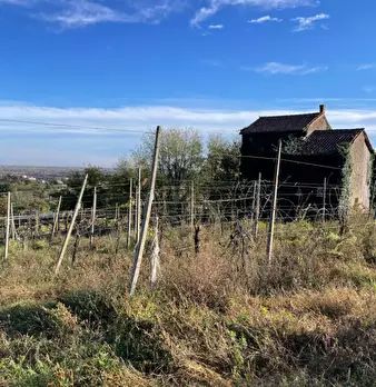 Foto annuncio 8