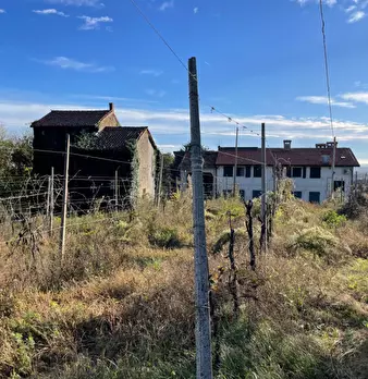 Foto annuncio 9