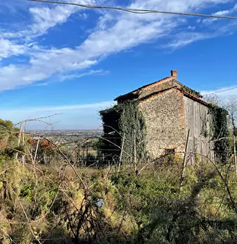 Foto annuncio 10