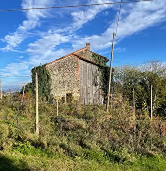 Foto annuncio 11