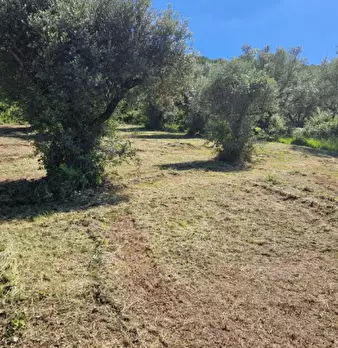 Foto annuncio 4