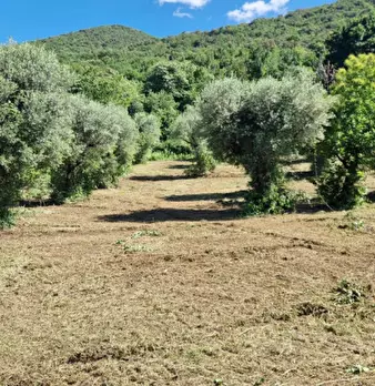 Foto annuncio 5