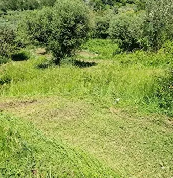 Foto annuncio 12