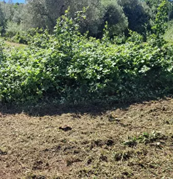 Foto annuncio 13