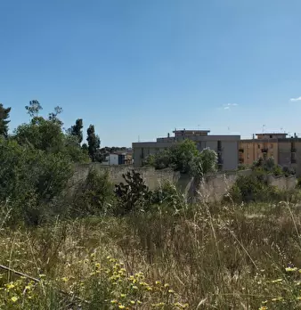 Foto annuncio 6