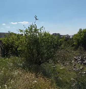 Foto annuncio 15