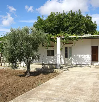 Foto annuncio 1