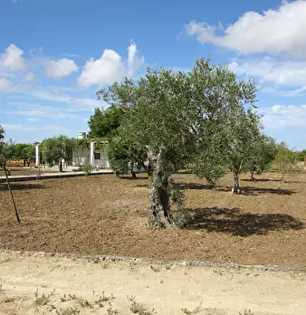 Foto annuncio 4