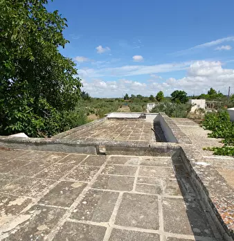 Foto annuncio 26
