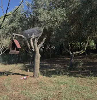 Foto annuncio 1