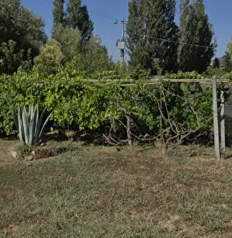 Foto annuncio 6