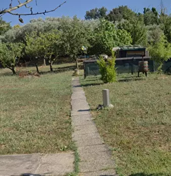 Foto annuncio 17