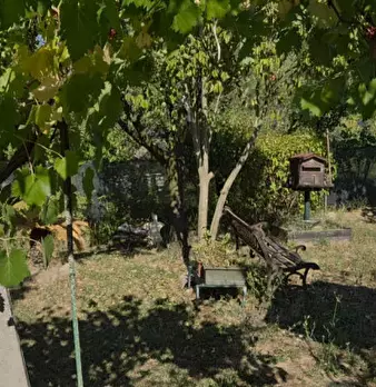 Foto annuncio 18