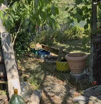 Foto annuncio 21