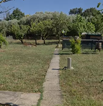 Foto annuncio 24