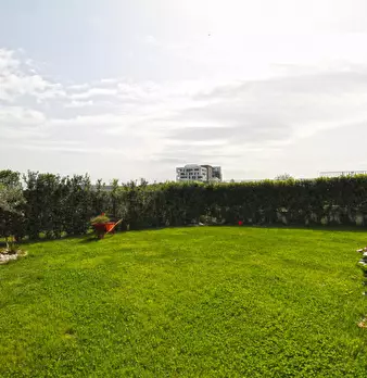 Foto annuncio 24