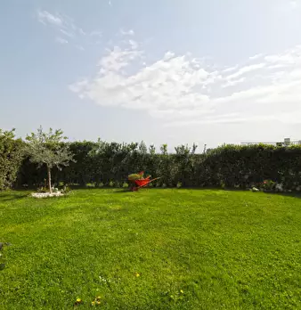 Foto annuncio 25