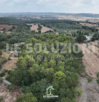 Foto annuncio 6