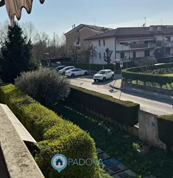 Foto annuncio 12
