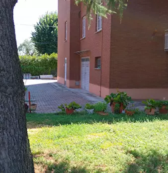 Foto annuncio 7