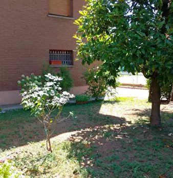 Foto annuncio 9