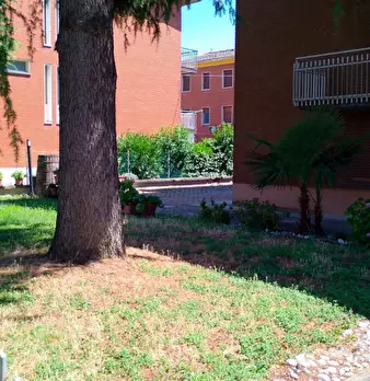Foto annuncio 13
