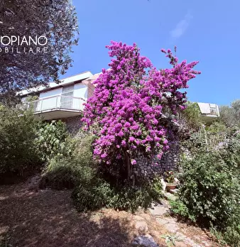 Foto annuncio 10