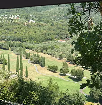 Foto annuncio 18