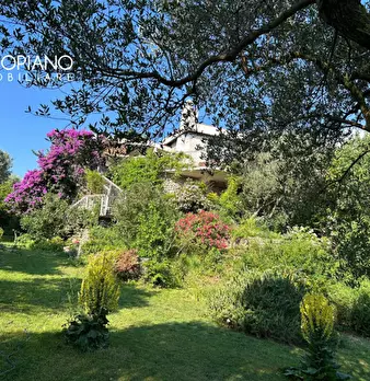 Foto annuncio 40