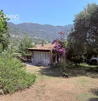 Foto annuncio 44