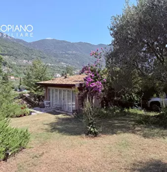 Foto annuncio 46