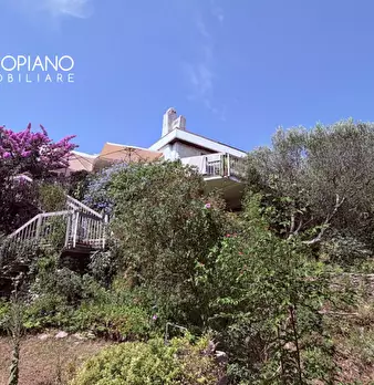 Foto annuncio 47