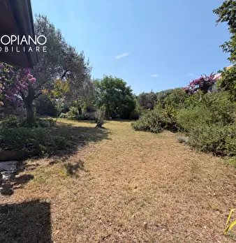 Foto annuncio 52