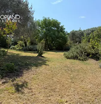 Foto annuncio 53