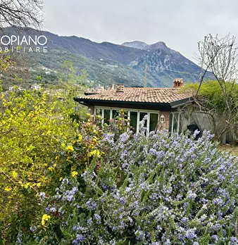 Foto annuncio 56