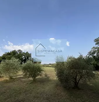 Foto annuncio 11