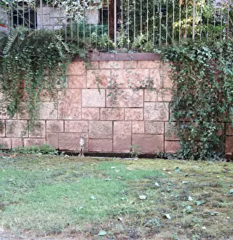 Foto annuncio 21