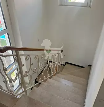 Foto annuncio 22