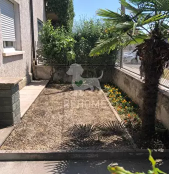 Foto annuncio 31