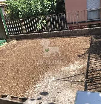 Foto annuncio 32