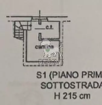 Foto annuncio 35